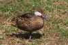 IMG_0152-Edit.jpg