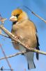 IMG_0155-Edit.jpg