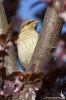 IMG_0237-Edit.jpg