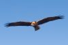 IMG_0505-Edit.jpg