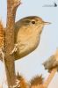 IMG_0696-Edit.jpg
