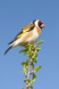 IMG_0749-Edit.jpg