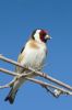 IMG_0763-Edit.jpg