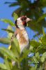 IMG_0778-Edit.jpg