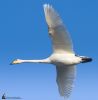 IMG_0909-Edit.jpg