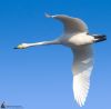 IMG_0911-Edit.jpg