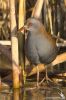 IMG_0954-Edit.jpg