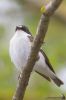 IMG_1418-Edit.jpg