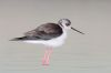 IMG_1609-Edit.jpg