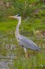 IMG_1724-Edit-Edit.jpg
