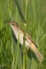 IMG_1896-Edit.jpg