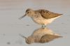 IMG_1915-Edit.jpg