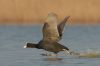 IMG_1935-Edit.jpg
