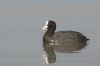 IMG_2010-Edit.jpg