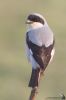 IMG_2678-Edit-2.jpg