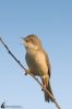 IMG_3043-Edit.jpg