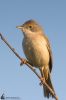 IMG_3047-Edit-Edit.jpg