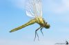 IMG_3131-Edit.jpg