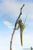 IMG_3135-Edit.jpg