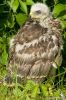 IMG_3173-Edit.jpg