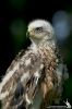 IMG_3286-Edit.jpg