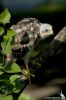 IMG_3315-Edit.jpg
