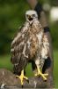 IMG_3407-Edit.jpg