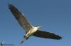 IMG_3719-Edit-Edit.jpg