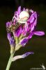 IMG_3833-Edit.jpg