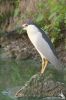 IMG_4036-Edit.jpg