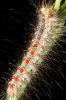 IMG_4193-Edit.jpg