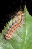 IMG_4207-Edit.jpg