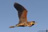 IMG_4348-Edit.jpg