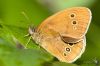 IMG_5203-Edit.jpg