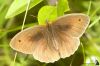 IMG_5248-Edit.jpg