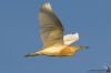IMG_5561-Edit.jpg