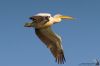 IMG_5578-Edit.jpg