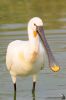 IMG_5872-Edit.jpg