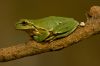 IMG_5891.jpg
