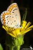 IMG_6276-Edit.jpg