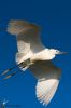 IMG_6527-Edit.jpg