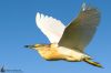 IMG_6543-Edit-Edit.jpg