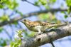 IMG_6774-Edit.jpg