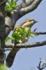 IMG_6777-Edit.jpg