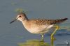 IMG_7132-Edit-Edit.jpg