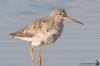 IMG_7451-Edit.jpg