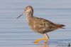 IMG_7533-Edit.jpg