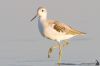 IMG_8146-Edit.jpg
