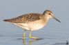 IMG_8177-Edit.jpg