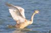 IMG_8251-Edit.jpg